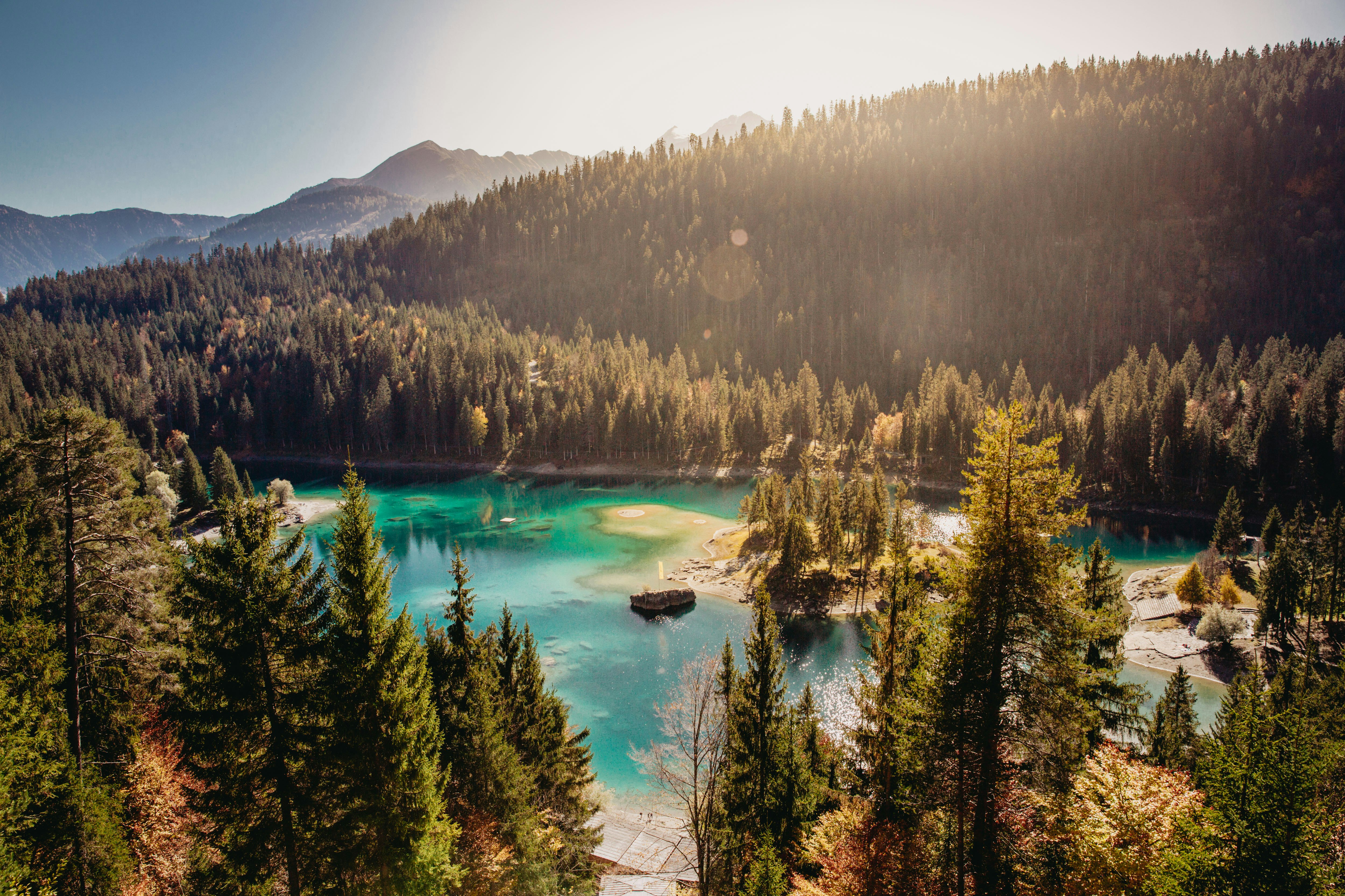 body of water surrounded by green trees under sunny sky